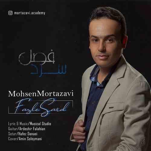 محسن مرتضوی فصل سرد