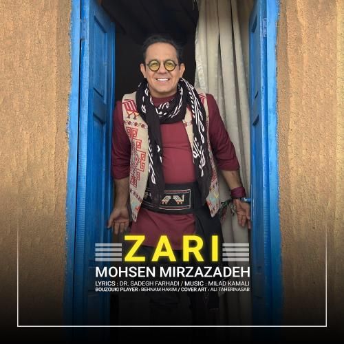 محسن میرزازاده زری