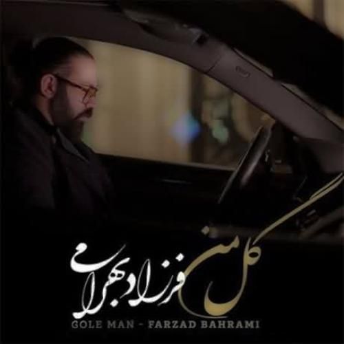 فرزاد بهرامی بیا خونه داره میشه آخر شب نگرانتم چه کنم