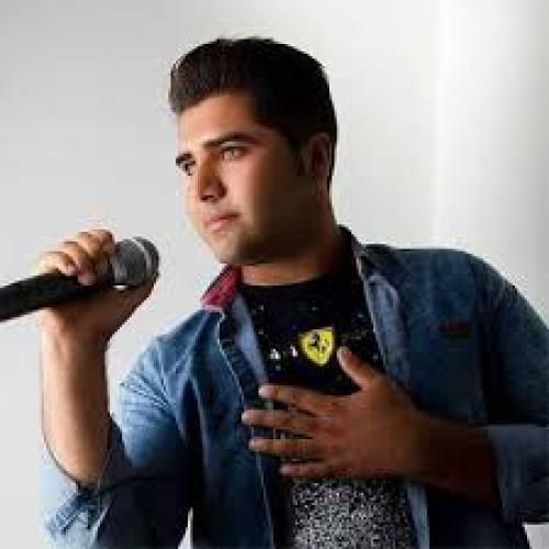وحید حسن زاده نقاره ای شاد زری جون