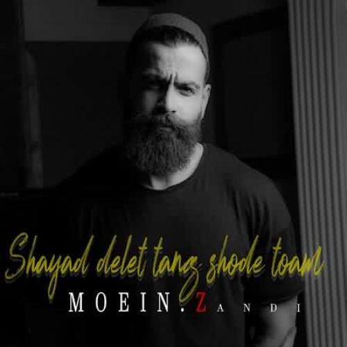 شاید دلت تنگ شده توام اما نمیتونی حرفی بزنی