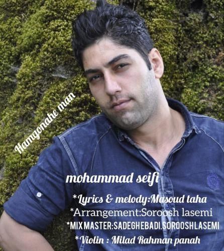 محمد سیفی همگناه من