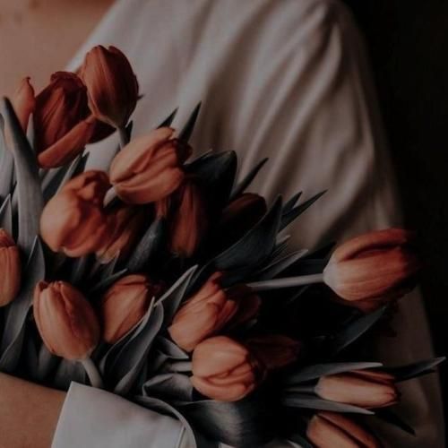 ای جونم کر کلاش به دست