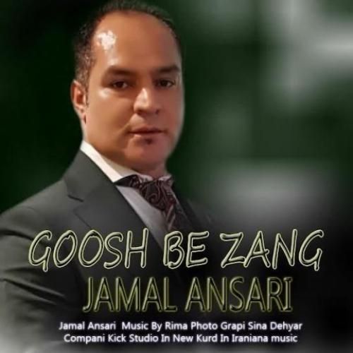 جمال انصاری گوش به زنگ