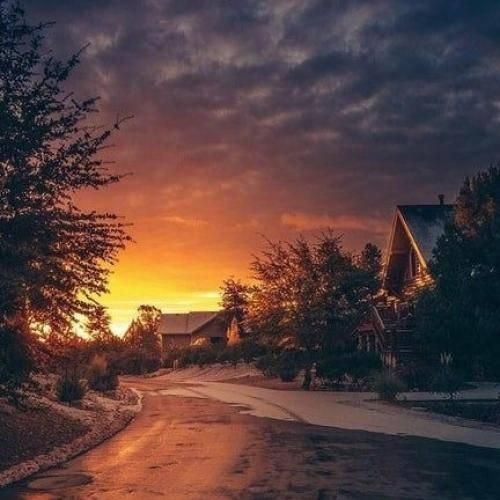 فقط بهم نشون بده کتم تنه کیاست