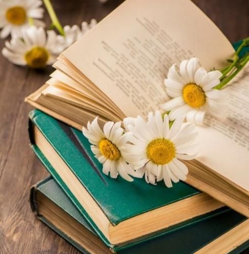 جیگیلی جمع کن چی میگی ادا مدا فیک تو تیری دی