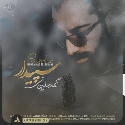 محمد سلیمانی سپیدار