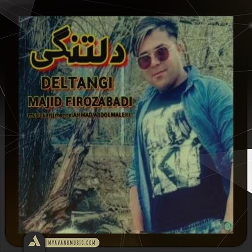مجید فیروزآبادی دلتنگی