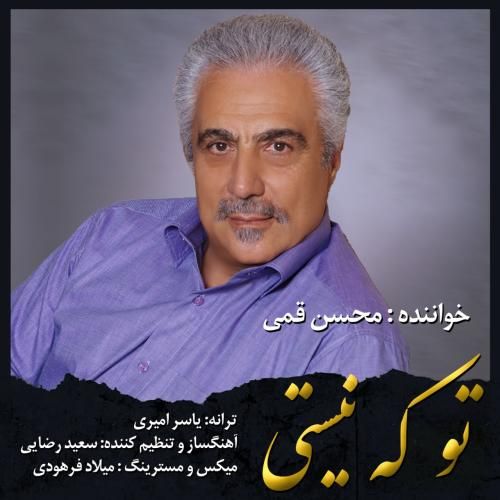 محسن قمی تو که نیستی