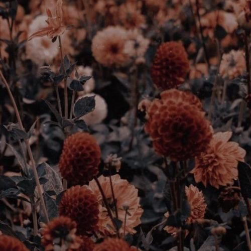 امیر محمد افشار اعتقادی نیرم و قسمت و فال و طالع