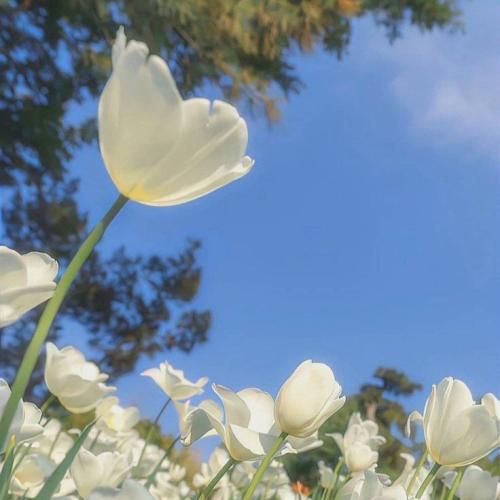 دوست دارم تو رو قدر همه گناهام کاشکی منو تنها نمیزاشتی بکشم اینجا عذاب