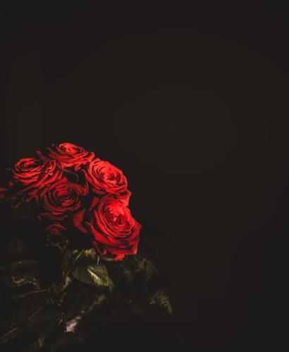 هیچکس و شغال هر چی باشه بهتر از هر چی درس و کاره