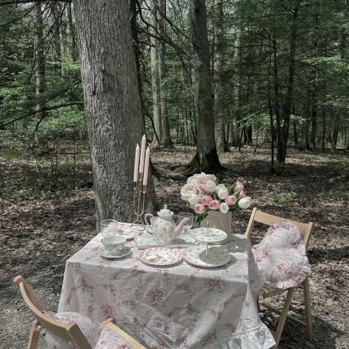 عمو امید دارو دارو دارو میکروبارو کرده جارو 