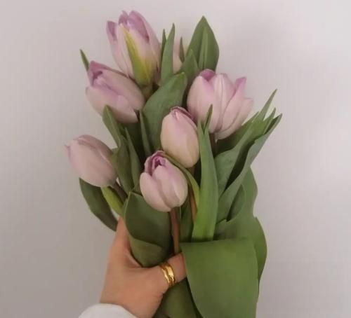 سیزیف آره من این روزا یه چیزا آرزوم شده می‌دونم واسه تو هیچه