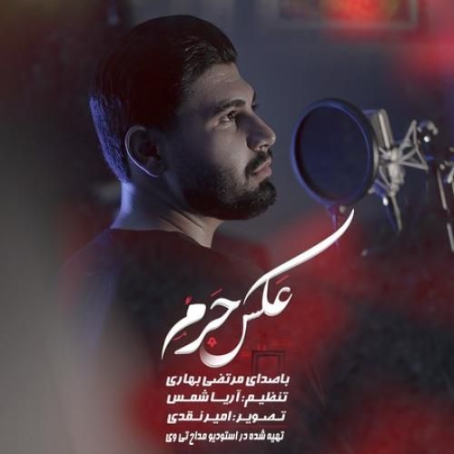 مرتضی بهاری عکس حرم