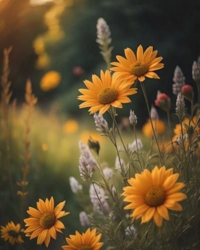 طلا بی احساس