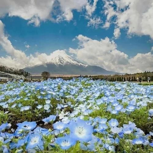 علی اردوان و سهراب ام جی هر کی با ما بوده داره داستان زیاد