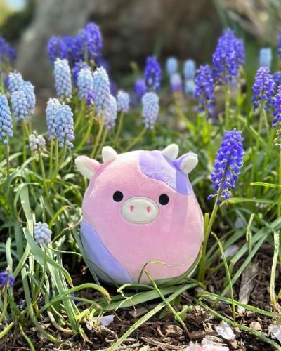 رضا یزدانی زخمی هر جنگ من خسته و دلتنگ من