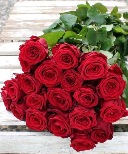 شروین نشینه غم به دلت زخمات واسه همه زشته واسه من خوشگله