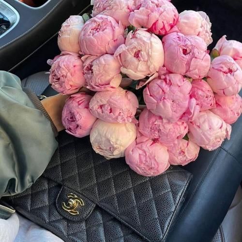 صادق و امیر خلوت برای قلبش و روحش و باوراش زنده موند