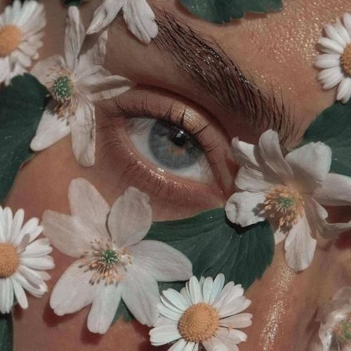 مسیح همیشگی من تو یه لب تر کن واست من جونمو بدم