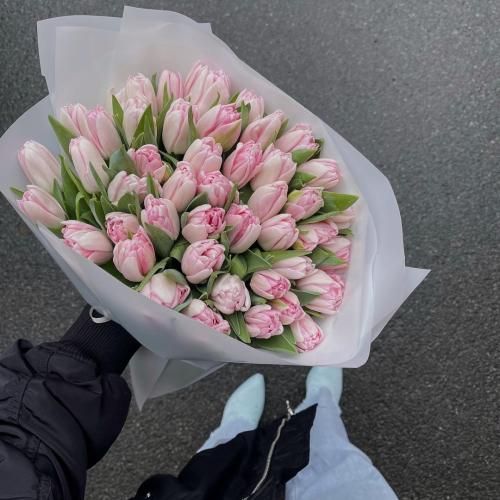 بهزاد پارسایی دیگه ولی دیره دلی که میمیره دیگه نمیگیره