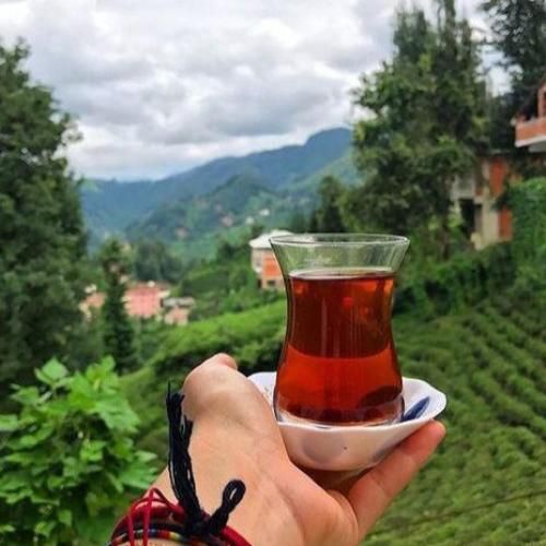  وقت نی وقتی تاکسی فرودگاه جلو دره