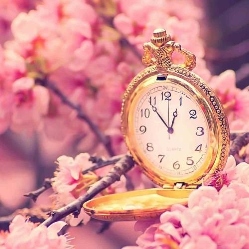  نمیبینی هر روز کارت گیره شده حتی میرم