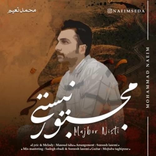 محمد نعیم مجبور نیستی