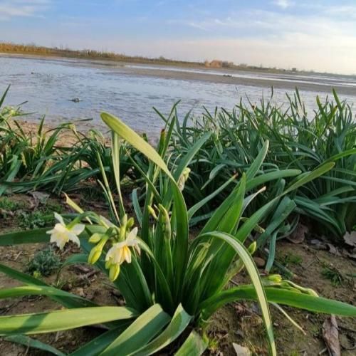 دانلود آهنگ از مبینا به داداشم مبینا داداش چطوری