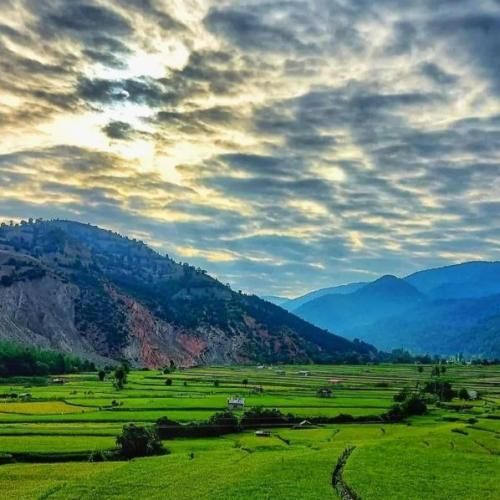 به بالا وصلم میسازم کش من اگه این احوال پیدام نی