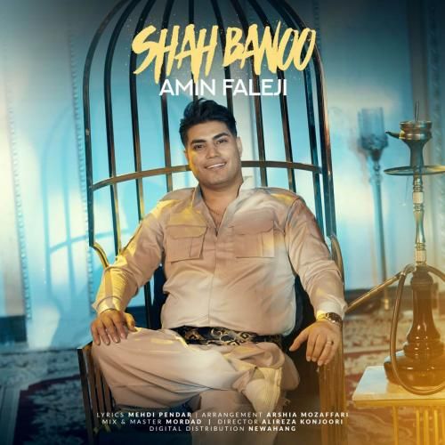 امین فالجی شاه بانو