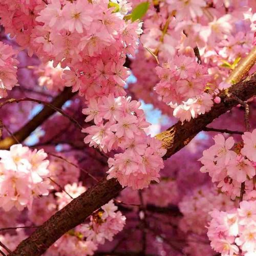 گفتی بی احساسم و حرفات دروغ بود
