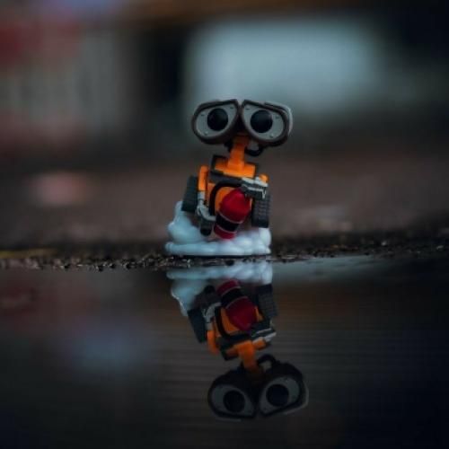 بی دلیل همه چی دلگیر شده روزا رنگی نیس تیره و مشکیش پره