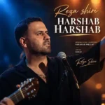 دانلود آهنگ جدید هر شب هر شب از رضا شیری